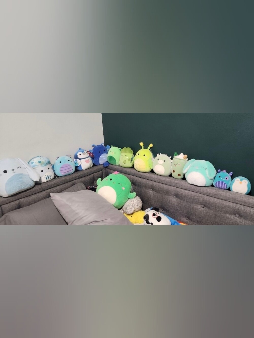 Squishmallows - Picture 2 of 5